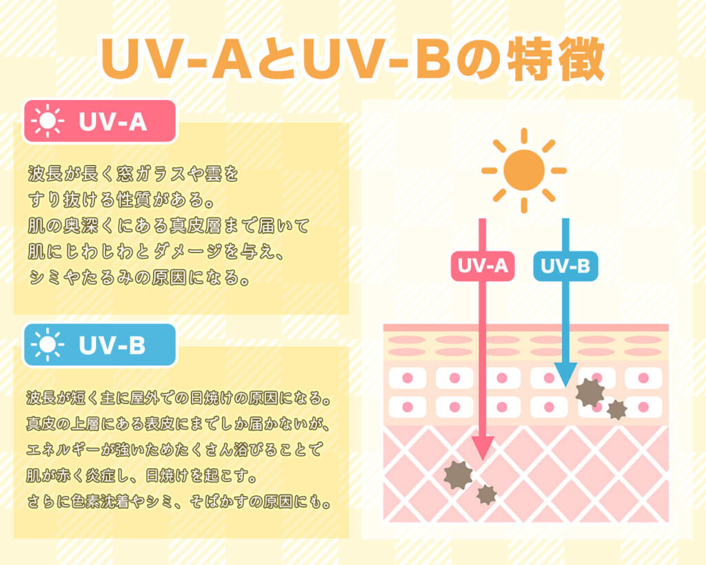 UV-AとUV-Bの特徴