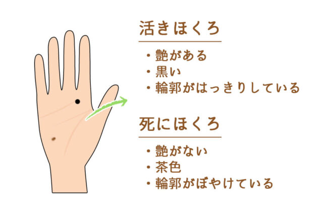 手のひらのほくろで占おう！死にほくろ・活きほくろの意味やほくろの位置ごとの運勢
