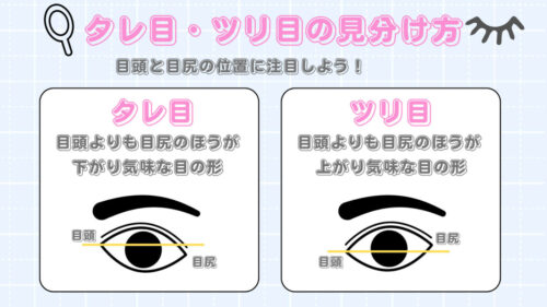 目の形の種類一覧!自分の目の形が分からない人向けの確認方法も