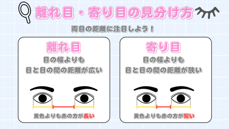 目の形の種類一覧!自分の目の形が分からない人向けの確認方法も