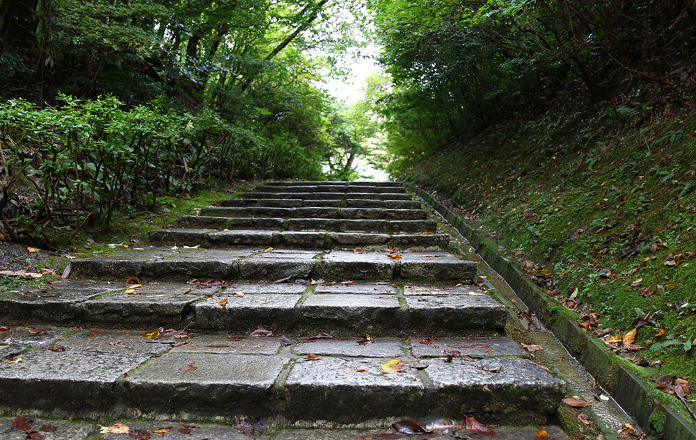 神社への階段をのぼる夢