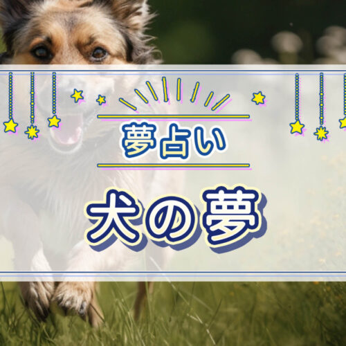 夢占い】犬の夢の意味とは？茶色の犬、逃げる犬、散歩する犬などの夢について紹介