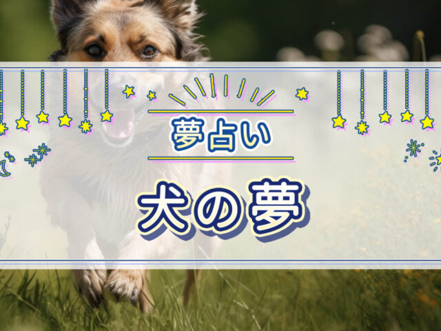【夢占い】犬の夢の意味とは？茶色の犬、逃げる犬、散歩する犬などの夢について紹介