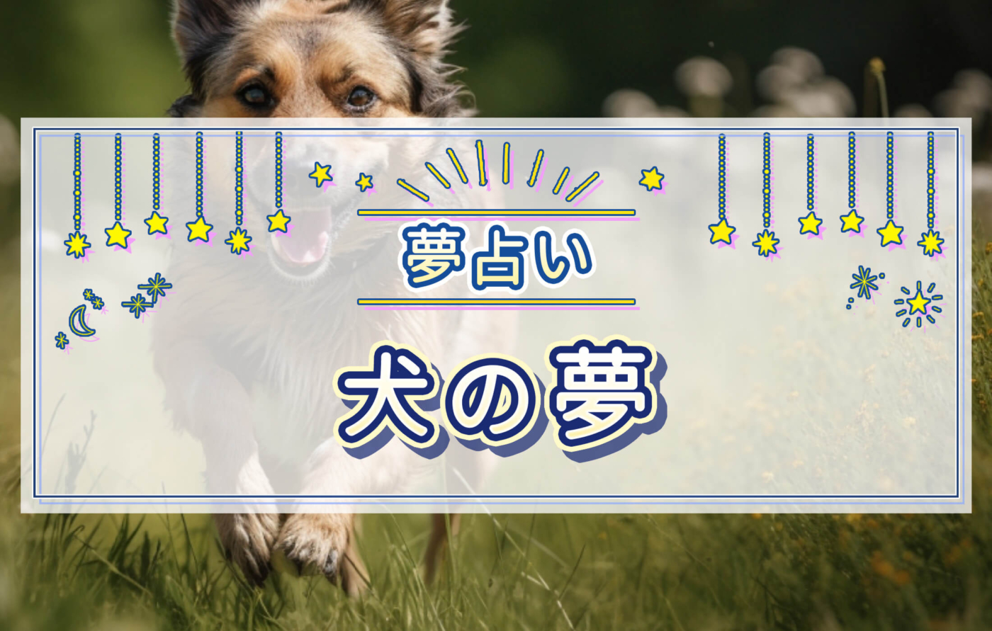 【夢占い】犬の夢の意味とは？茶色の犬、逃げる犬、散歩する犬などの夢について紹介