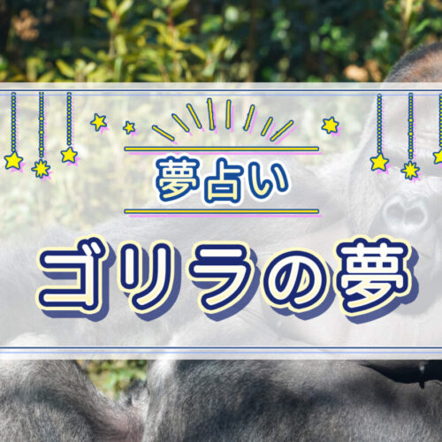 夢占いでゴリラが夢に出たときの意味は？吉夢・凶夢別に紹介