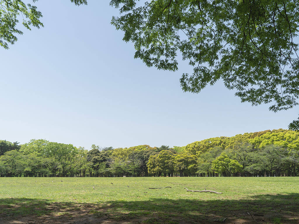 代々木公園／東京