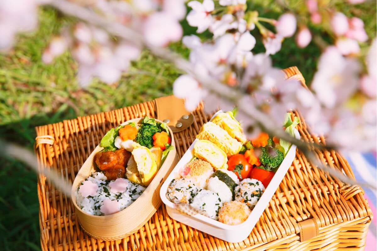 かわいいお弁当箱ならランチタイムが楽しくなる♪