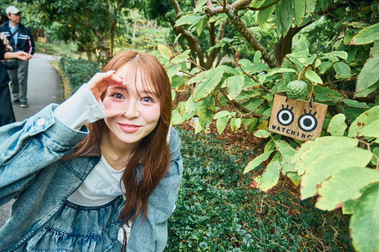 熱帯フルーツ園でフルーツウォッチング！-2