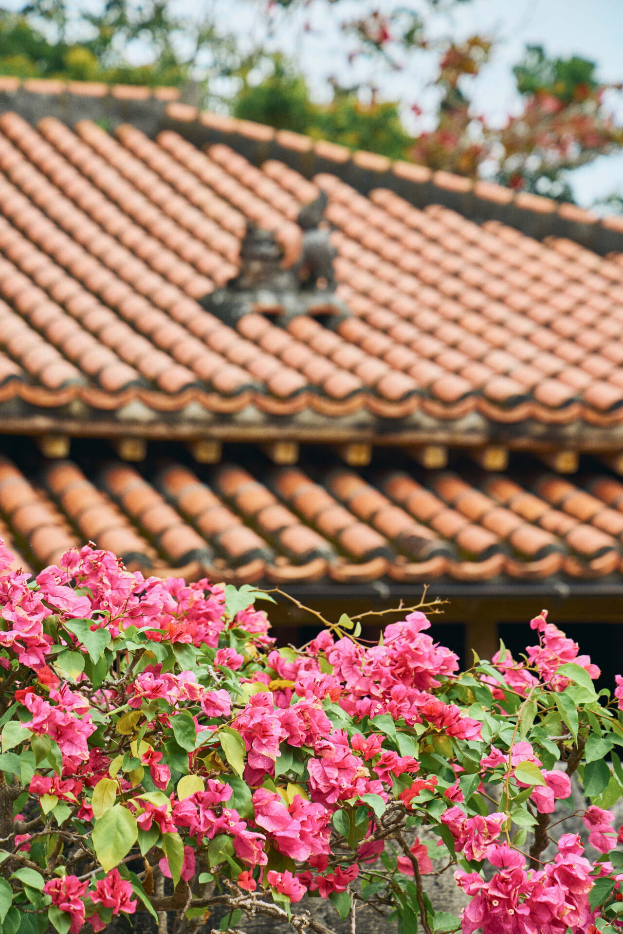 赤煉瓦の前で記念ポーズ！