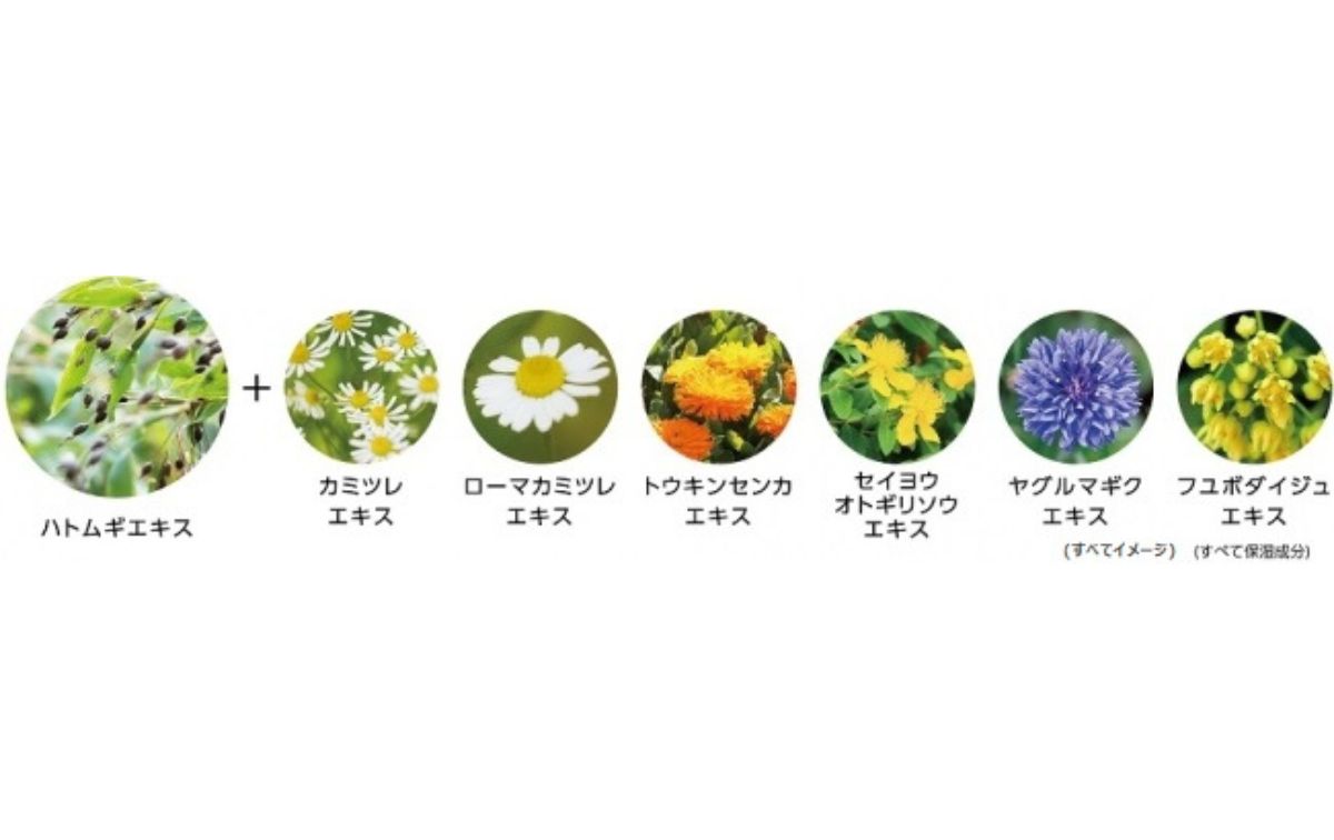 マジアボタニカとは？