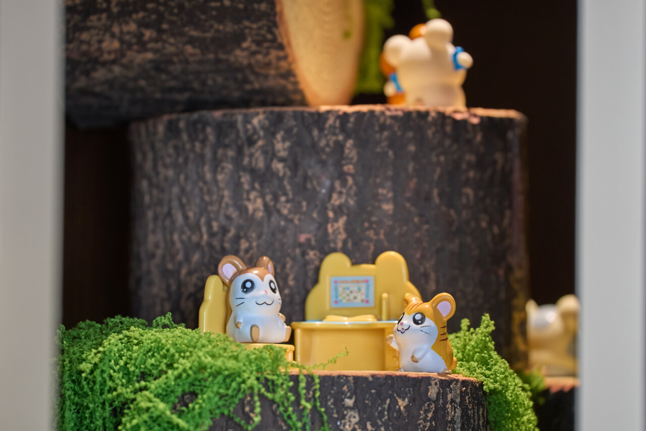 河井リツ子先生へのインタビュー大公開♡